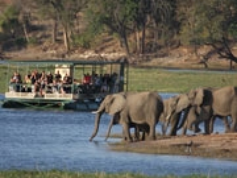 Chobe River Front