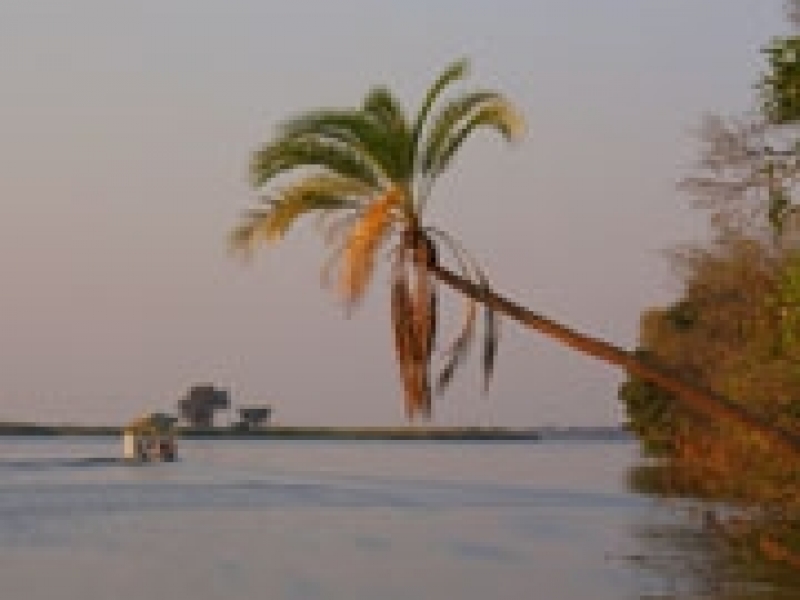 Chobe River