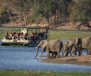 destinations chobe river front