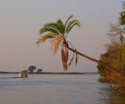 destinations chobe river